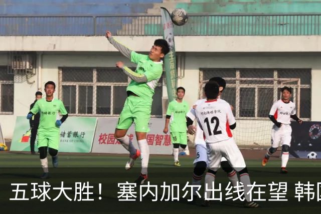 五球大胜！塞内加尔出线在望 韩国晋级仅剩理论希望