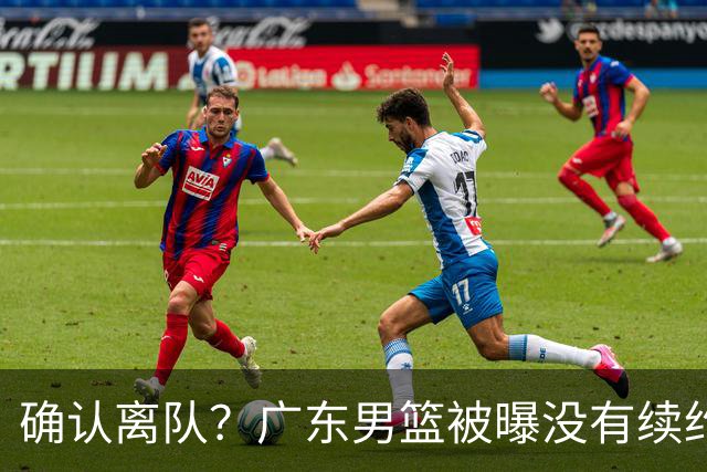 确认离队？广东男篮被曝没有续约杜锋，新主教练人选正式曝光！